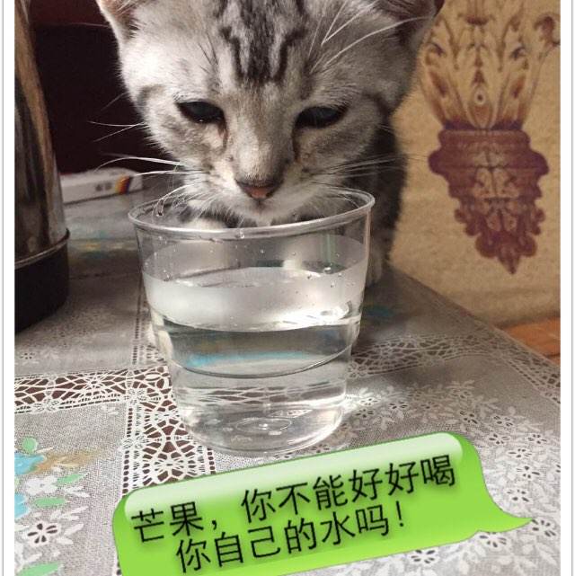 质检员证怎么造假